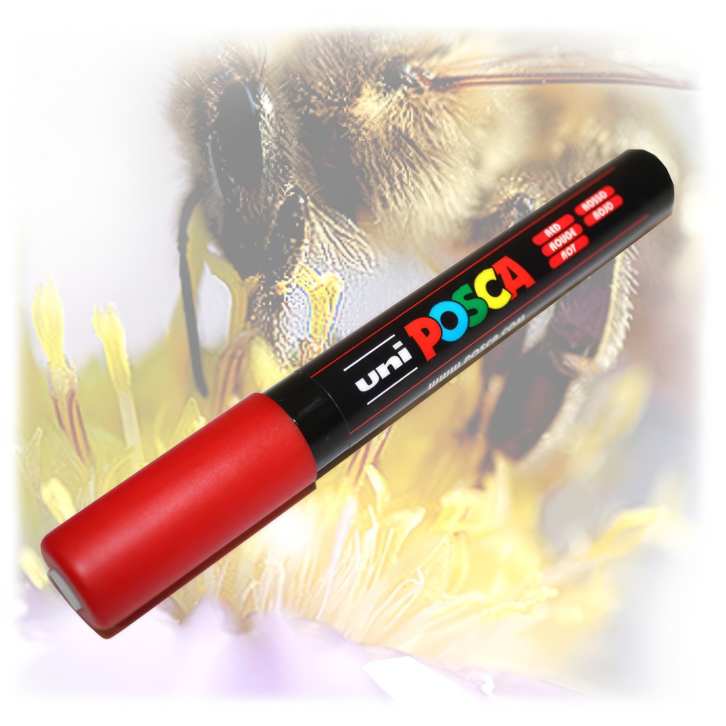 POSCA Queen Bee Marking Marker Pen White/Yellow/Green/Blue Beekeeping Tool Kit 